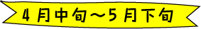 4月中旬〜5月下旬