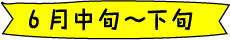 6月中旬〜下旬