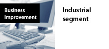 Business Improvement: industrial segment